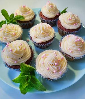 There are a lot of sweet cupcakes with cream and a green mint petal on the plate.Texture or background