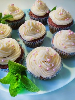 Sweet mint cupcakes with cream.Texture or background