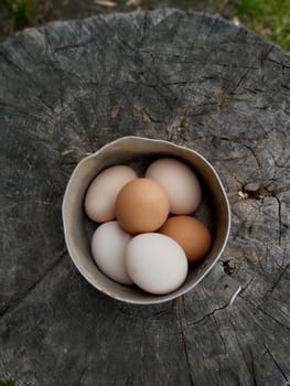 In an old saucepan raw eggs are yellow and white.Texture or background