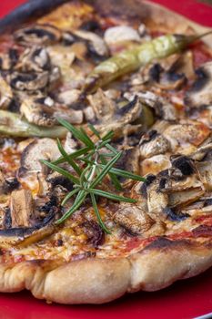 rosemary leaf on a pizza