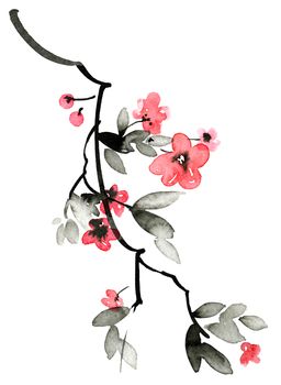 Watercolor and ink illustration of sakura tree with flowers and leaves. Oriental traditional painting in style sumi-e, u-sin and gohua.