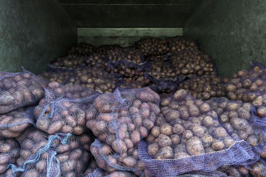 a pile of potatos in bags inside of metal dry van box truck - close-up with selective focus