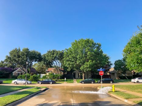 Testing yellow fire hydrant gushing water across a residential street near Dallas, Texas, America. Wet neighborhood street and tire from parked car behind