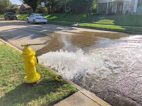 Testing yellow fire hydrant gushing water across a residential street near Dallas, Texas, America. Wet neighborhood street and tire from parked car behind