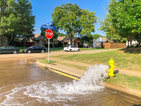 Typical neighborhood area with stop sign near Dallas, Texas, America with open yellow fire hydrant gushing water across a residential street. Row of suburban bungalow single family house behind