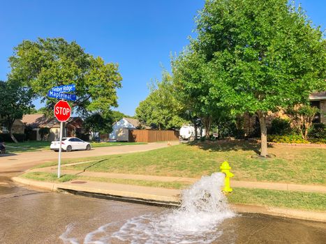 Typical neighborhood area with stop sign near Dallas, Texas, America with open yellow fire hydrant gushing water across a residential street. Row of suburban bungalow single family house behind