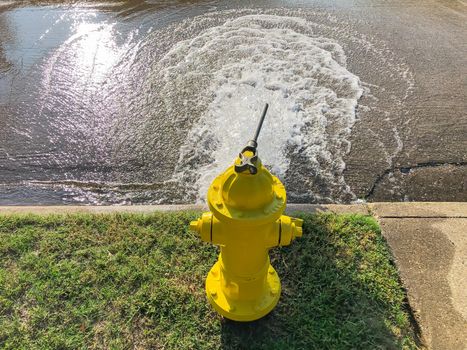 Top view yellow fire hydrant gushing water across a residential street near Dallas, Texas, America. Wide open gushing water to street with grainy effect where water falling back down over the pavement