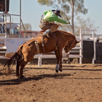 A cowboy rides a bucking horse in the saddle bronc competition at a country rodeo