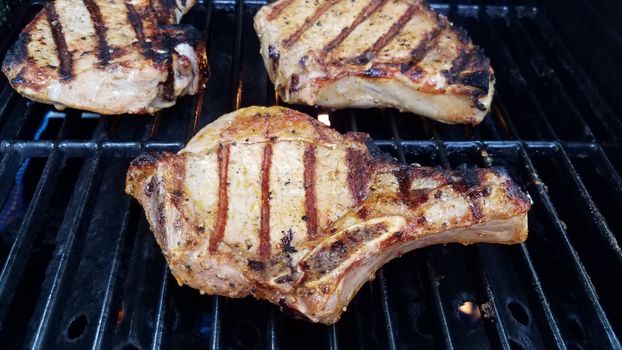 seasoned pork chop meat cooking on barbecue grill