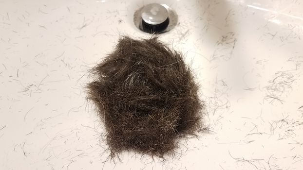 cut brown hair with dandruff in white bathroom sink with drain