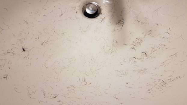 cut brown hair in white bathroom sink basin
