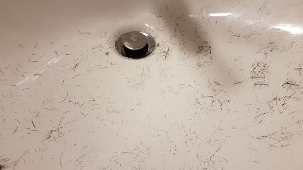 cut brown hair in white bathroom sink basin