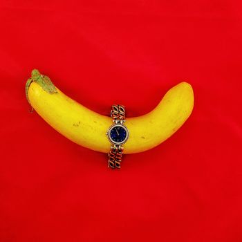 Vintage watch with black face encircling a yellow eggplant vegetable isolated on a red background