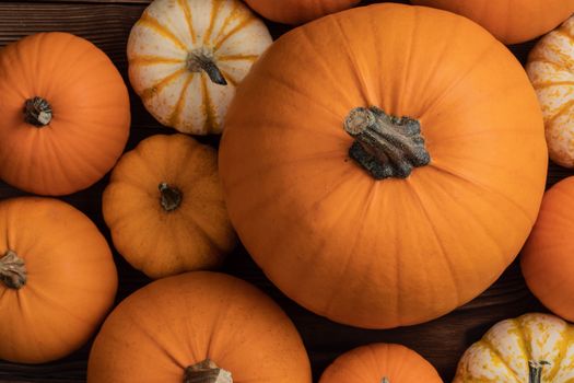 Assortiment of autumn harvested pumpkins in a heap background , Halloween holiday concept