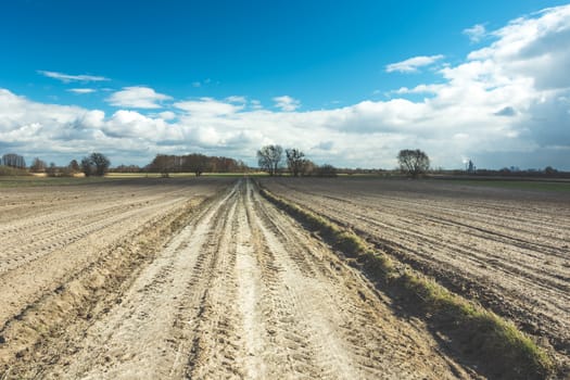 Dirt road through ploughed fields and clouds on the blue sky