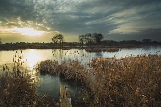 Sunset and a frozen lake with reeds, winter evening view