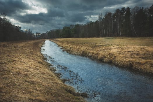 A small river flowing through dry meadows in the forest, dark view