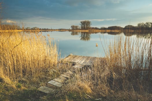 Wooden platform in tall reeds on the lake shore