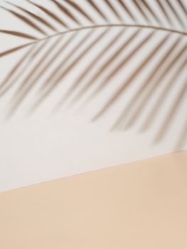 Palm leaf shadow on white wall and cream pastel floor. Abstract background of shadows palm leaf for creative summer minimal mock-up. Neutral tropical palm mockup on light backdrop.Geometric background