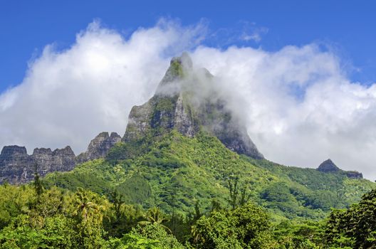 Tropical mountain in Moorea, French Polynesia