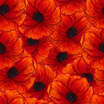 Beautiful red poppies. Bright Floral seamless Pattern. Summer backdrop. Can be used for textile, wallpaper, print, web design, fabric, wrapping paper. Hand drawn illustration.