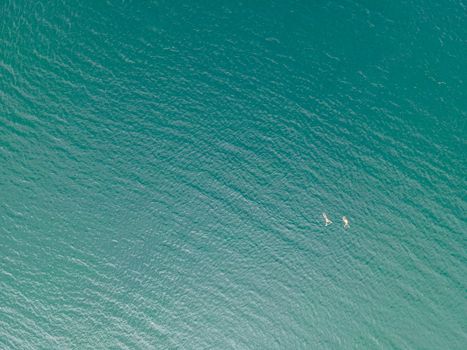 drone shot of people swimming in lake.