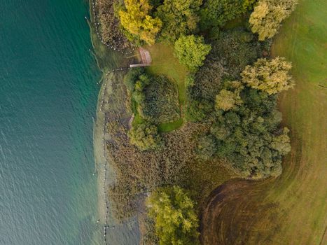 Drone shot of pasture near a lake. Copy space