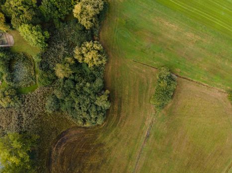 Drone shot of pasture near a lake. Copy space