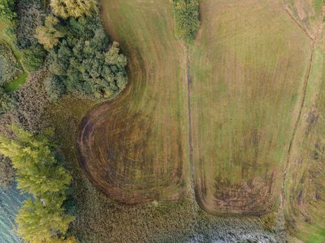 Drone shot of pasture near a lake. Copy space