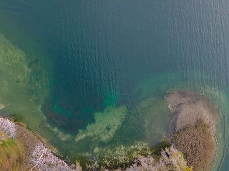 drone shot. Birds view of clear lake with trees and buildings