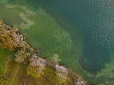 drone shot. Birds view of clear lake with trees and buildings