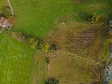 Drone shot of pasture near a lake. Copy space