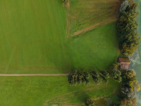 Drone shot of pasture near a lake. Copy space