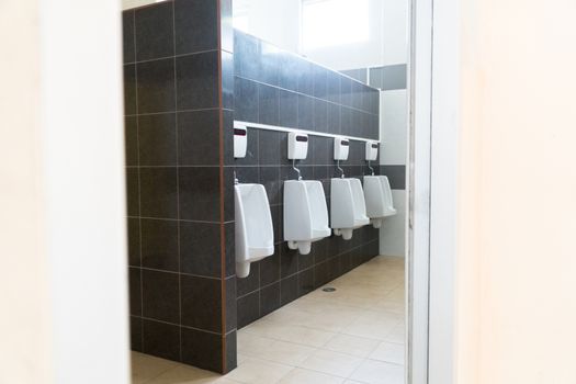 Urinals in men's toilet