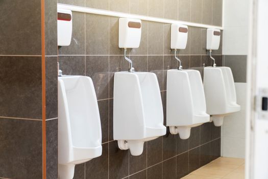 Urinals in men's toilet