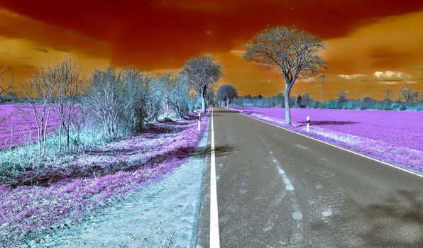 Beautiful purple infrared landscape with a magical look in high resolution