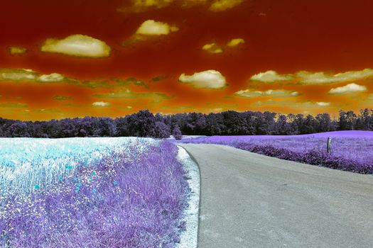 Beautiful purple infrared landscape with a magical look in high resolution