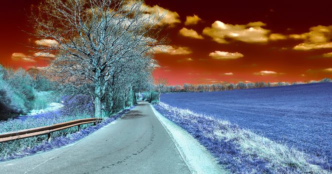 Beautiful purple infrared landscape with a magical look in high resolution