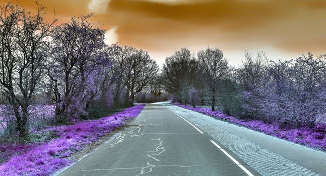 Beautiful purple infrared landscape with a magical look in high resolution