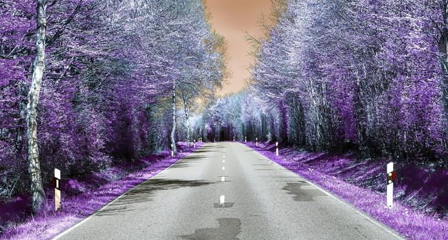 Beautiful purple infrared landscape with a magical look in high resolution