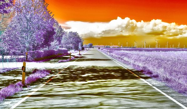 Beautiful purple infrared landscape with a magical look in high resolution