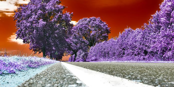 Beautiful purple infrared landscape with a magical look in high resolution