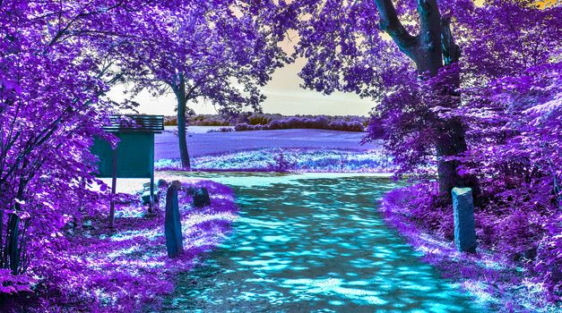 Beautiful purple infrared landscape with a magical look in high resolution