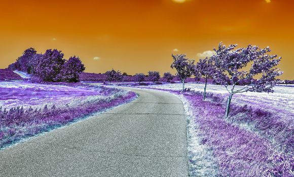 Beautiful purple infrared landscape with a magical look in high resolution