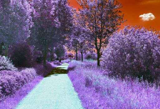 Beautiful purple infrared landscape with a magical look in high resolution