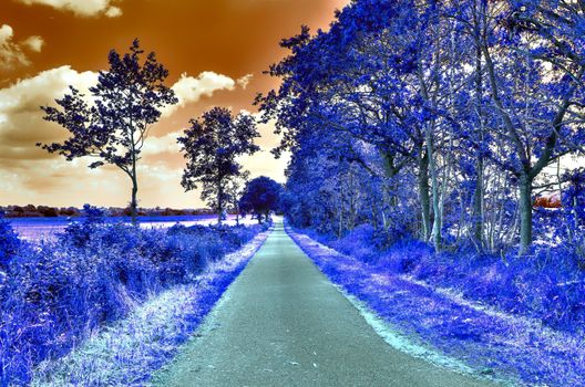 Beautiful purple infrared landscape with a magical look in high resolution