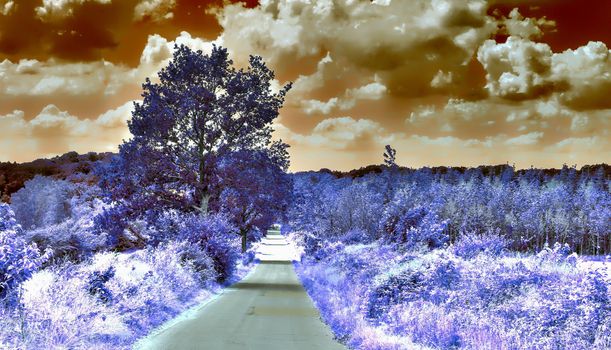 Beautiful purple infrared landscape with a magical look in high resolution