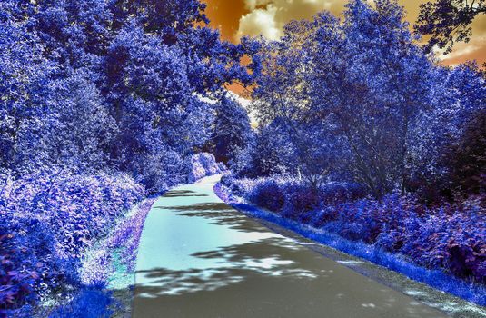 Beautiful purple infrared landscape with a magical look in high resolution