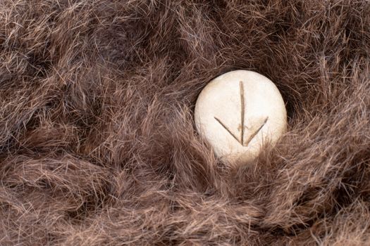 Teiwaz Nordic stone rune on fur. Letter Tiwaz of the Viking alphabet.