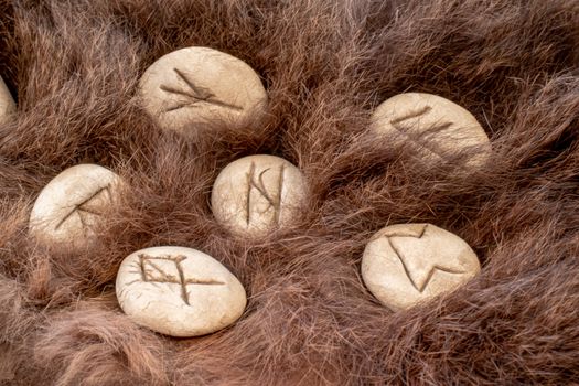 Stone runes on a fur. Futhark viking alphabet. Close up photo of Norse runes.